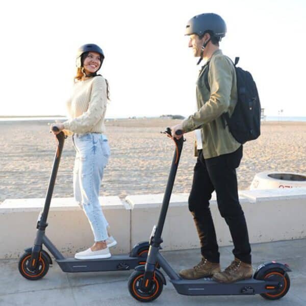 10'' electric scooter s2 max