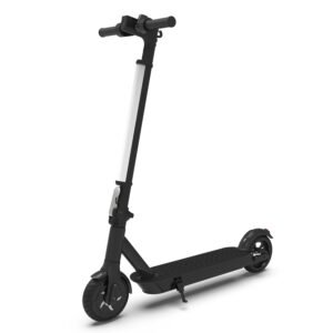11'' electric scooter max pro (copy)